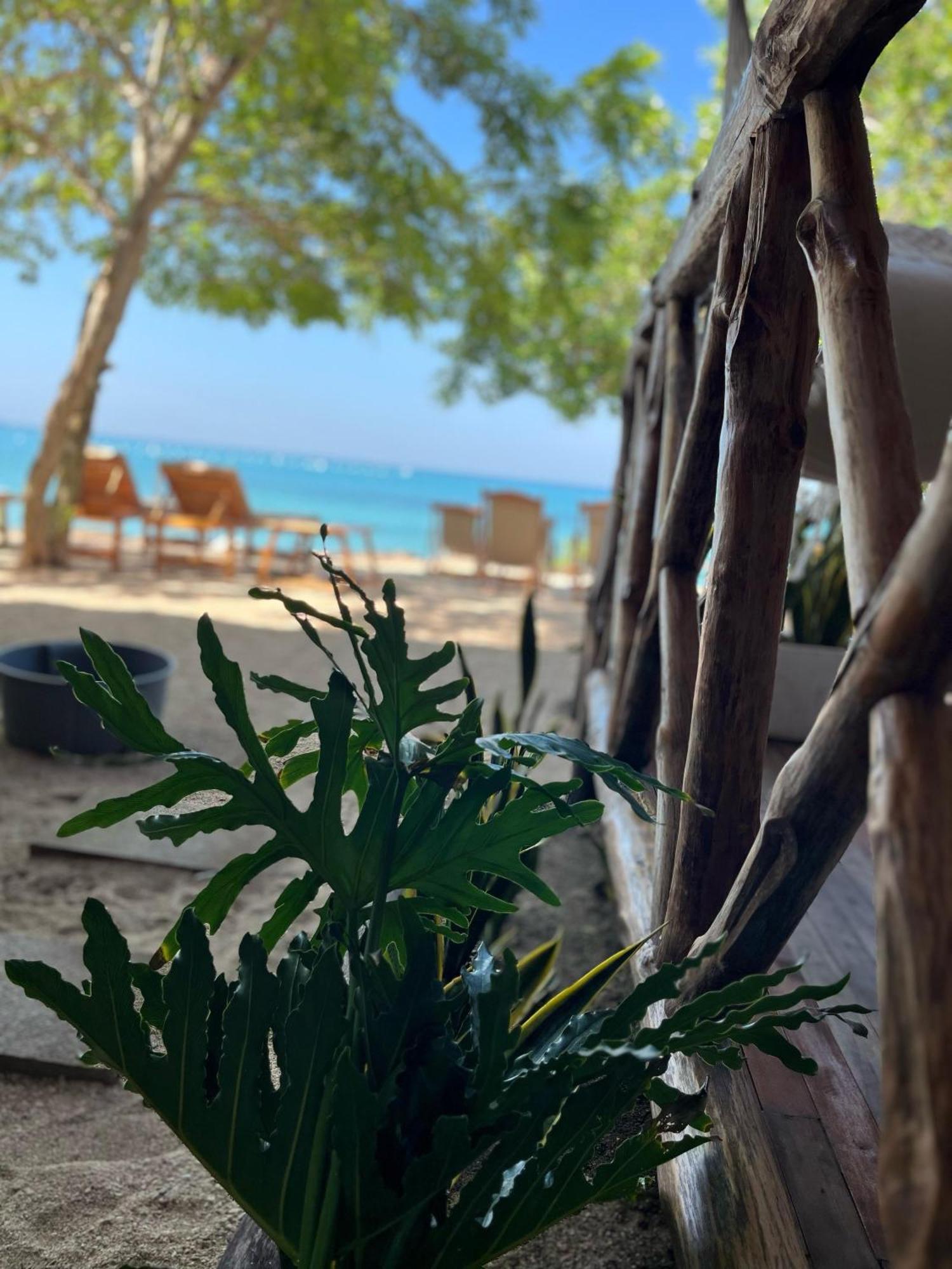 Thani Ecobeach Baru Playa Blanca Exteriör bild